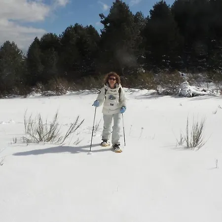 Piccola Baita In Sila A 1.300 Mt Chalet *