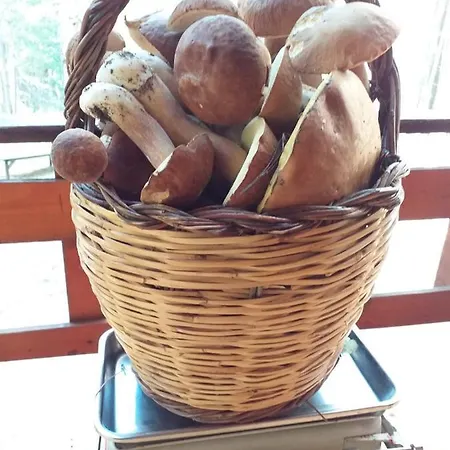 Piccola Baita In Sila A 1.300 Mt Chalet *