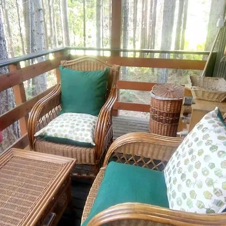 Piccola Baita In Sila A 1.300 Mt Chalet *