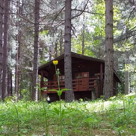Piccola Baita In Sila A 1.300 Mt Chalet